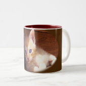 Katzen Zweifarbige Tasse (VorderseiteRechts)