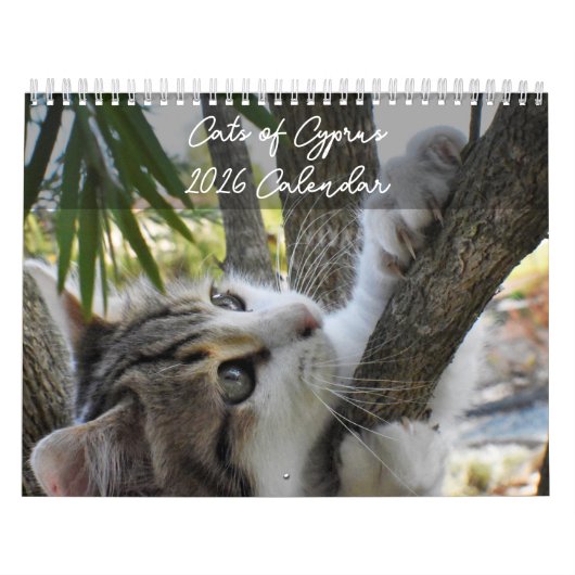 Katzen Zyperns nach PaphosLebenskalender Kalender (Titelbild)
