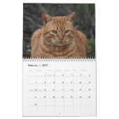 Katzen Zyperns nach PaphosLebenskalender Kalender (Feb 2027)