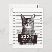 Katzenarmant Postkarte (Vorne/Hinten)