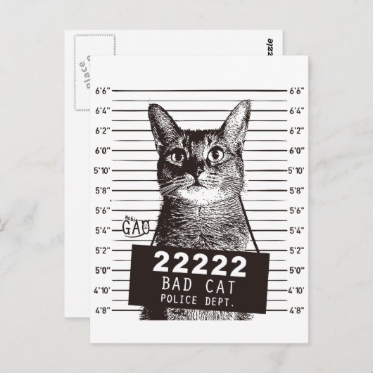 Katzenarmant Postkarte (Vorne/Hinten)