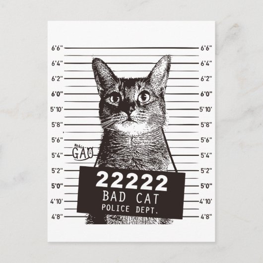 Katzenarmant Postkarte (Vorderseite)