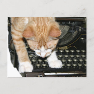 Katzenarten Postkarte