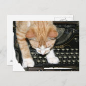 Katzenarten Postkarte (Vorne/Hinten)