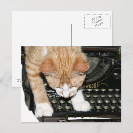 Katzenarten Postkarte (Vorne/Hinten)