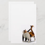 Katzenartiges Freund-Katzen-Briefpapier Briefpapier (Vorne/Hinten)