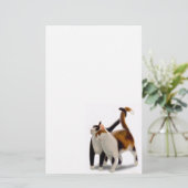 Katzenartiges Freund-Katzen-Briefpapier Briefpapier (Stehend Vorderseite)