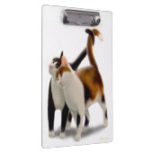 Katzenartiges Freund-Katzen-Klemmbrett Klemmbrett (Rechts)