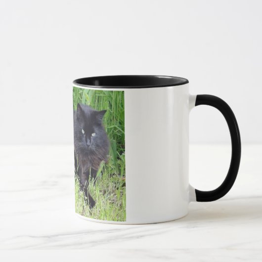 Katzenartiges königliches stolzes des flaumigen tasse (Rechts)