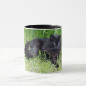 Katzenartiges königliches stolzes des flaumigen tasse (Zentrum)