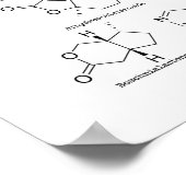 Katzenattraktion Poster (Ecke)