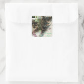 Katzenaufkleber Quadratischer Aufkleber (Tasche)