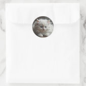 Katzenaufkleber Runder Aufkleber (Tasche)