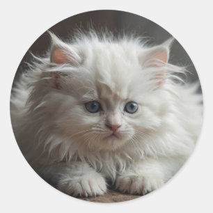 Katzenaufkleber Runder Aufkleber