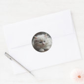 Katzenaufkleber Runder Aufkleber (Umschlag)