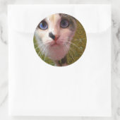 Katzenaufkleber Runder Aufkleber (Tasche)