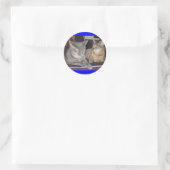 Katzenaufkleber Runder Aufkleber (Tasche)