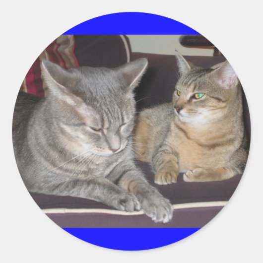Katzenaufkleber Runder Aufkleber (Vorderseite)
