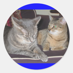 Katzenaufkleber Runder Aufkleber