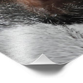 Katzenauge Fotodruck (Ecke)