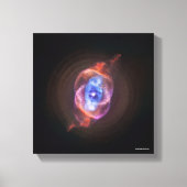 Katzenauge Leinwanddruck (Vorderseite)