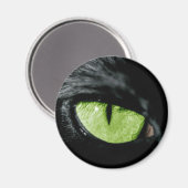 Katzenauge Magnet (Vorderseite/Rückseite)