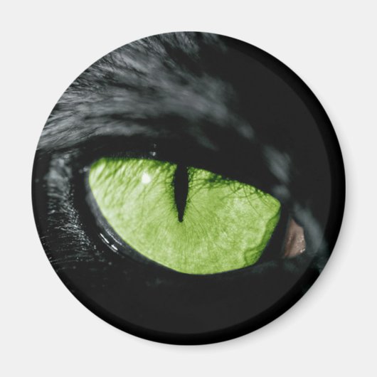 Katzenauge Magnet (Vorne)