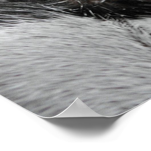 Katzenauge Poster (Ecke)