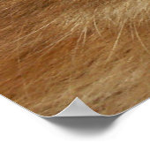 Katzenauge Poster (Ecke)