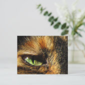 Katzenauge Postkarte (Stehend Vorderseite)