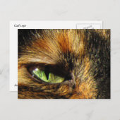 Katzenauge Postkarte (Vorne/Hinten)