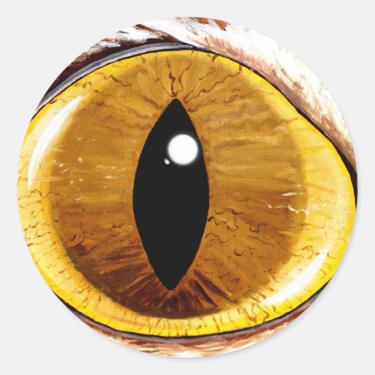 Katzenauge Runder Aufkleber (Vorderseite)