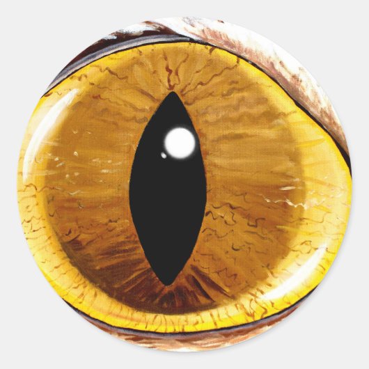 Katzenauge Runder Aufkleber (Vorderseite)