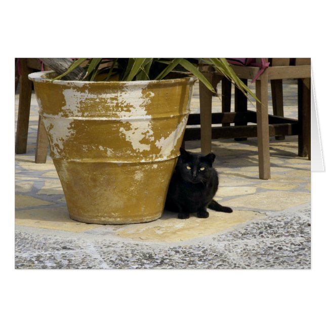 Katzenaugen (Vorderseite (Horizontal))