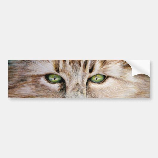 Katzenaugen-Autoaufkleber Autoaufkleber (Vorne)