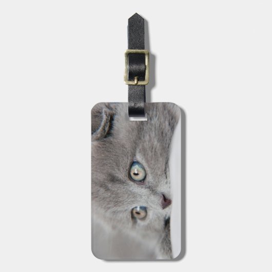 Katzenaugen Gepäckanhänger (Vorderseite vertikal)