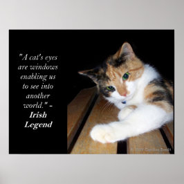 Katzenaugen in eine andere Welt Poster