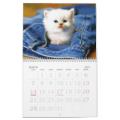 Katzenaugen Kalender (Mär 2027)