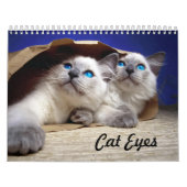 Katzenaugen Kalender (Titelbild)