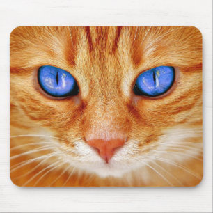 Katzenaugen Katzenaugen Gesicht Tiger Makrele Rotk Mousepad