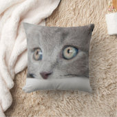 Katzenaugen Kissen (Decke)