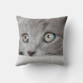 Katzenaugen Kissen (Rückseite)