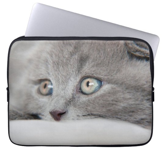 Katzenaugen Laptopschutzhülle (Vorderseite)