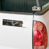 Katzenaugen-Pelzbart-Schwarzes Autoaufkleber (Auf Lkw)