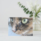 Katzenaugen Postkarte (Stehend Vorderseite)