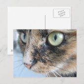 Katzenaugen Postkarte (Vorne/Hinten)