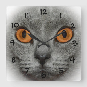 Katzenaugen Quadratische Wanduhr