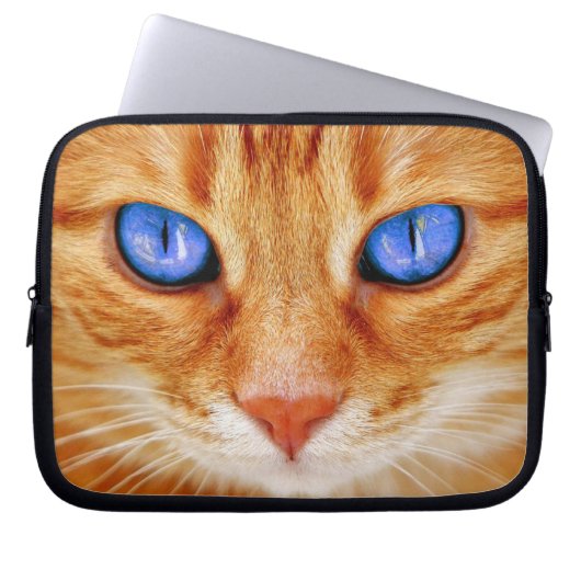 Katzenaugen Tiger Makrele Rote Katze Laptopschutzhülle (Vorderseite)