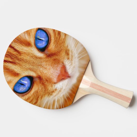 Katzenaugen Tiger Makrele Rote Katze Tischtennis Schläger (Seitenansicht)