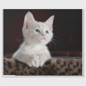 Katzenaussehen Geschenkpapier (Flach)